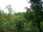 500420042008(21).JPG