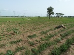 18893P1000735.JPG
