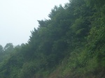 2012-09-08_19-26-38_RIMG0019.JPG
