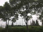 2017-09-10_06-44-52_16F6B233-7A4F-47F5-B4E5-8EBF9E417D0F.jpg
