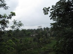 16351IMG_5135.JPG