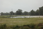 2022-06-11_17-39-26_607409AE-441F-412F-8F05-D8766695A7B6.jpeg