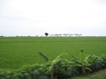 14505IMG_4864.JPG