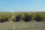 2021-02-02_14-23-37_DSC_0003.JPG
