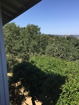 2017-05-27_17-04-49_3275B410-399B-47F9-ADC1-706FA4CCE95C.jpg