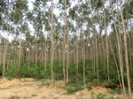 2012-09-26_20-50-00_CIMG1084.JPG
