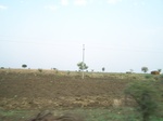 1782125042008(2).JPG