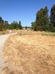 2012-09-14_23-19-33_WA-KG-106-5.JPG