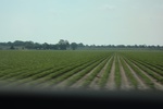 2022-05-26_14-43-17_A0527AC9-1E73-40AF-9044-F150484DD02E.jpeg
