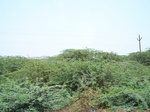 1783726042008(18).JPG