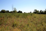 2012-09-23_20-07-27_RI-NW-5_South.JPG