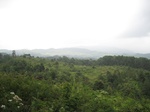 15279IMG_4110.JPG
