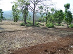 505820042008(106).JPG