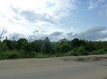 18324P1000160.JPG
