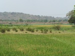 482902052008(26).JPG