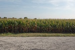 2017-09-12_16-52-56_#CoCoRaHSSep17 FieldPhotoSouth.jpg