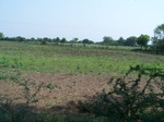 1773523042008(24).JPG