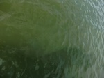 2012-09-21_14-27-12_CIMG3083.JPG