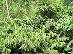 17491100_2746.JPG