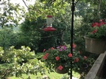 2017-07-10_14-26-15_SE.jpg