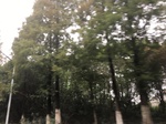 2017-09-10_20-38-59_284FE2AE-AB6E-4B68-84FD-2743A14C30B4.jpg