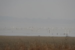 4211IMG_8849.JPG