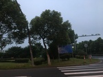 2017-09-12_13-38-20_37183D51-3B31-43BF-B87C-BE4DB1DD45D0.jpg