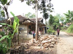 15145IMG_3965.JPG