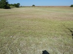 39236LAHO20110721W.JPG