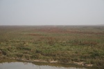 4114IMG_8749.JPG