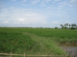 15603IMG_4674.JPG