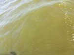2012-09-21_14-26-54_CIMG0124.JPG