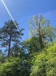 2025-04-17_15-16-15_2025-4-17-13-18-10.jpg