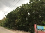 2017-09-02_05-53-27_1BC7903F-E9FC-49B4-8E3B-4F928D575F2C.jpg