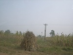 9169RIMG0250.JPG