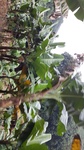2016-12-02_21-10-08_20161117_095334.jpg