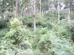 15317IMG_4155.JPG