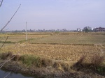 3256R0017290.JPG