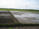 15662IMG_4734.JPG