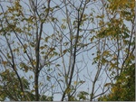 2012-09-12_09-02-01_IA-DL-14-2.jpg