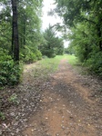 2020-08-25_20-32-58_F3DF69AC-2388-4DB9-B0B6-5C22519B38ED.jpeg