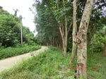 2012-09-26_20-49-23_CIMG0988.JPG