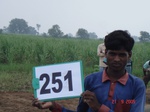 72300251d-irrigated-rainfed-agriculture-groundwater-sugarcane-dominant-cotton.jpg