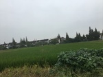 2017-09-11_22-23-55_5269CA96-2D52-4D21-9058-F65C8791A02F.jpg