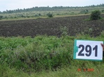 73620291d-rainfed-agriculture-soyabean.jpg