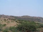 1783526042008(16).JPG