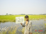 11341gt129-cropland-1.jpg