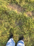 2017-09-04_09-21-02_Looking down.JPG