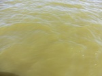 2012-09-21_14-25-45_CIMG0091.JPG