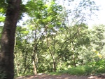 13982IMG_4289.JPG